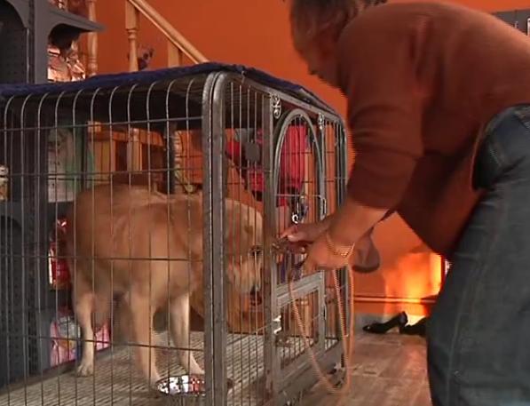 20221115184409_44813 20221115184409_44813