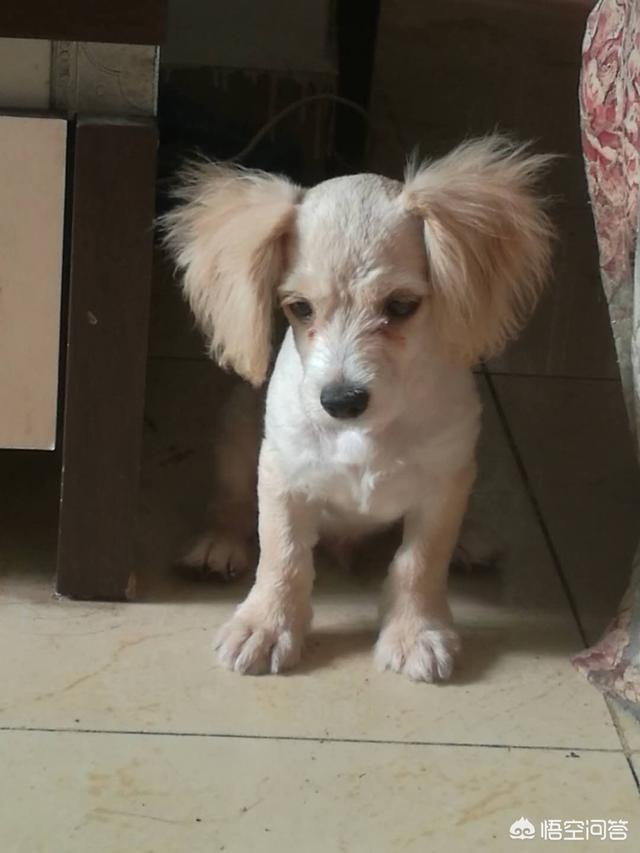 20221115184916_76086