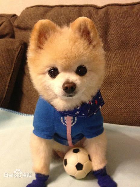 20221115185339_42387