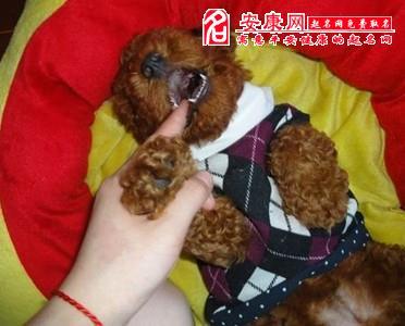 20221115190652_58004 20221115190652_58004