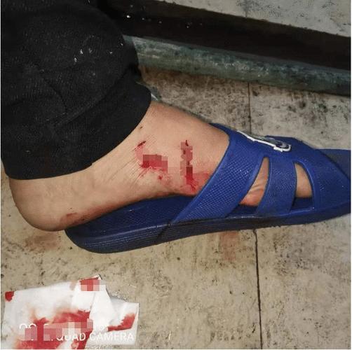 20221115190653_73435 20221115190653_73435