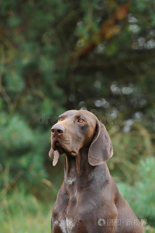 20221115191253_94947 20221115191253_94947