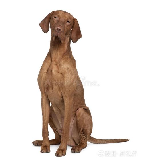 20221115191254_25691 20221115191254_25691