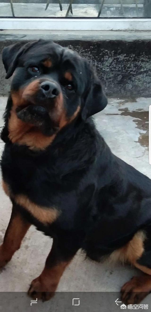 20221115192525_69961