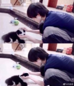 宋亚轩养狗了(宋亚轩在宿舍养狗丁成鑫)-警犬训练器材厂家 _警犬训练用品_工作犬训练用品-南京开久警犬装备