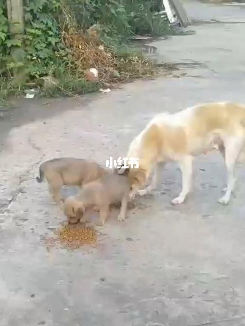 20221115193741_56040