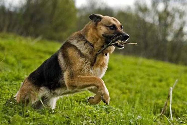 20221115193844_60512 20221115193844_60512