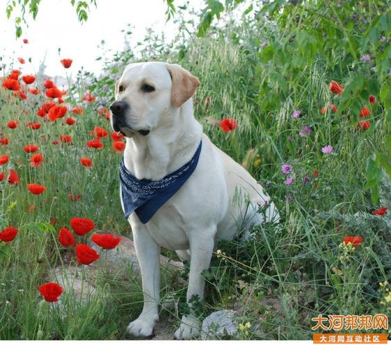 20221115194603_71148