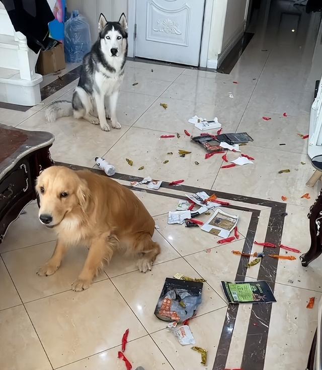 20221115195420_40234 20221115195420_40234