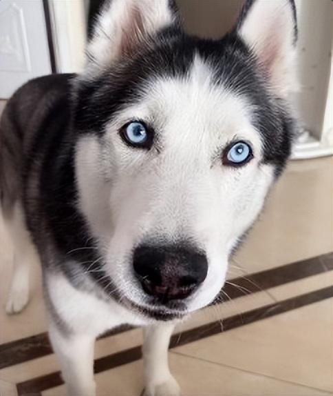 20221115195420_71245 20221115195420_71245