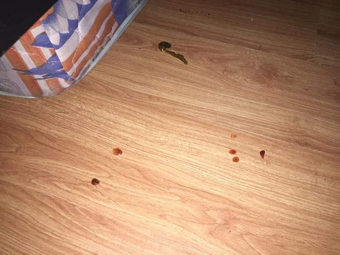 20221115201930_48645