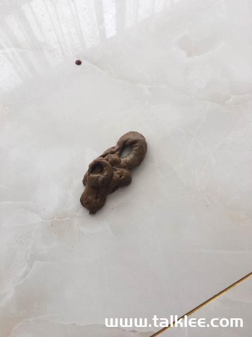 20221115201930_55393