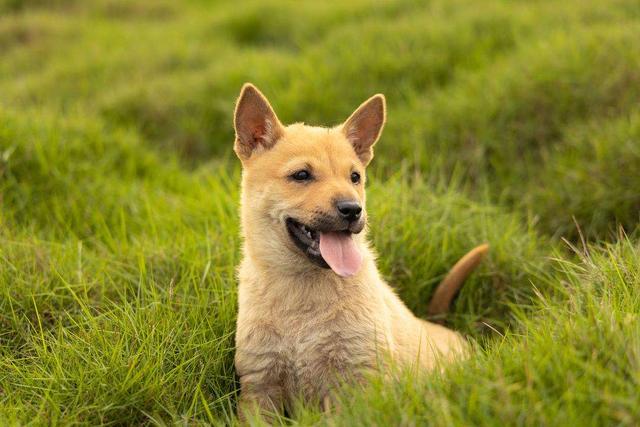 20221115203911_39992 20221115203911_39992