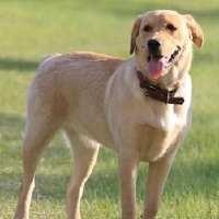 20221115204129_21984 20221115204129_21984