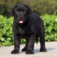 20221115204129_54695 20221115204129_54695