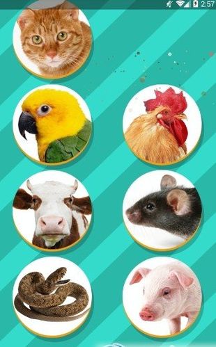 狗狗语言翻译器(狗狗说话翻译器) - 警犬训练器材厂家 _警犬训练用品_工作犬训练用品-南京开久警犬装备-警犬训练器材厂家 _警犬训练用品_工作犬训练用品-南京开久警犬装备