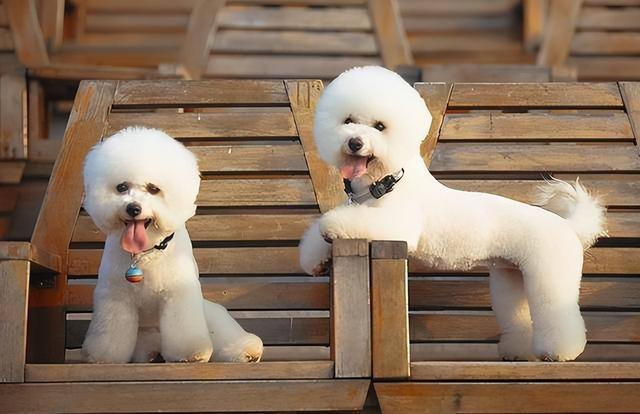 20221115210050_19241 20221115210050_19241