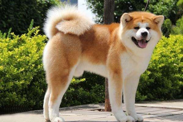 20221115211058_35399 20221115211058_35399