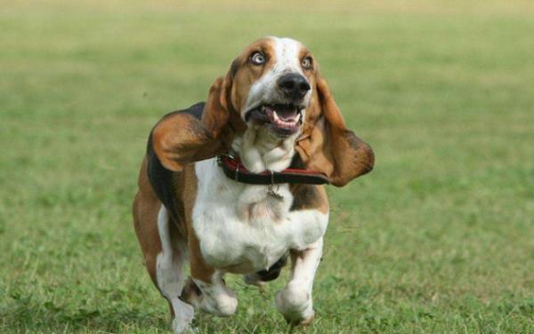 20221115212019_99405