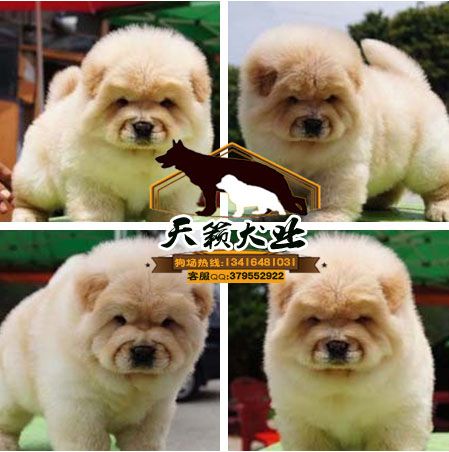 20221115213449_69492