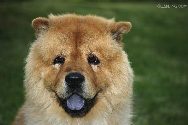 20221115213450_39787