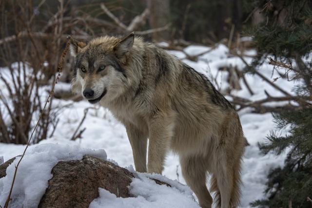 20221115214445_65813