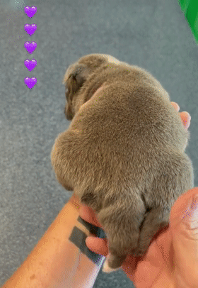 20221115214928_45463