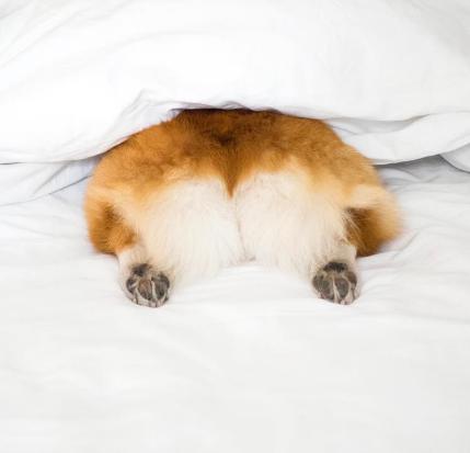 20221115214929_83955