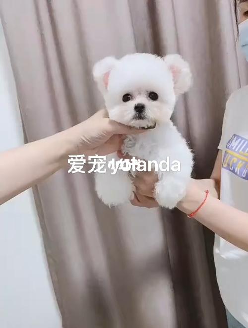 20221115220249_83169 20221115220249_83169