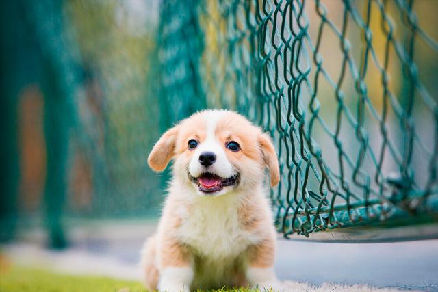 20221115220519_44190