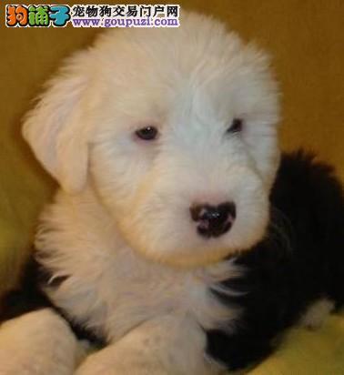 20221115220853_21054 20221115220853_21054