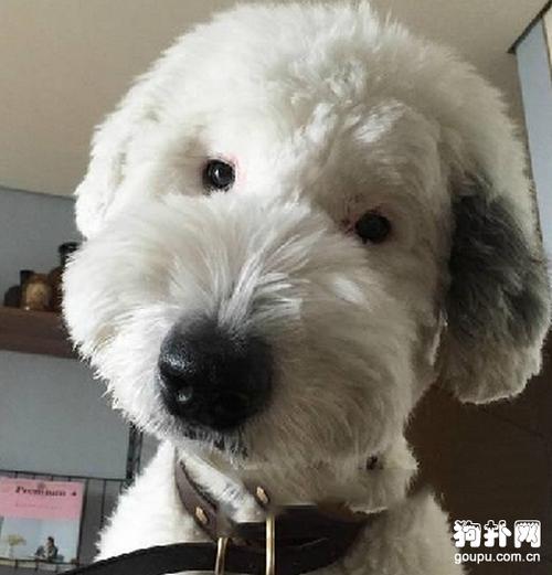 20221115220853_56083 20221115220853_56083