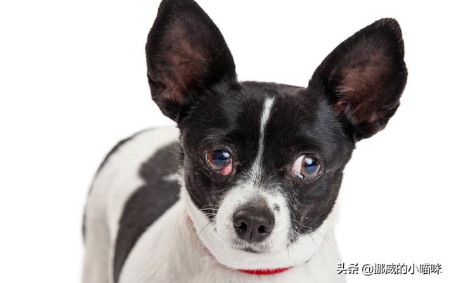 20221115222017_81514 20221115222017_81514