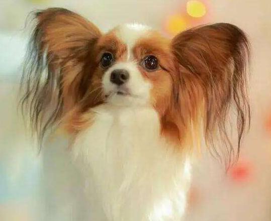 20221115222348_65951