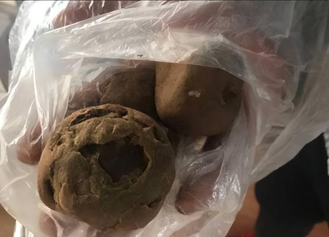 狗价格大全，宠物狗多少钱 - 警犬训练器材厂家 _警犬训练用品_工作犬训练用品-南京开久警犬装备-警犬训练器材厂家 _警犬训练用品_工作犬训练用品-南京开久警犬装备