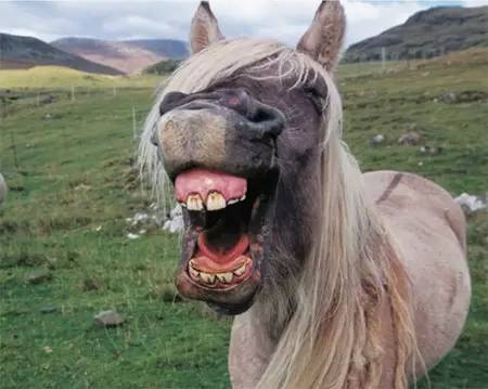 20221115225014_48880 20221115225014_48880