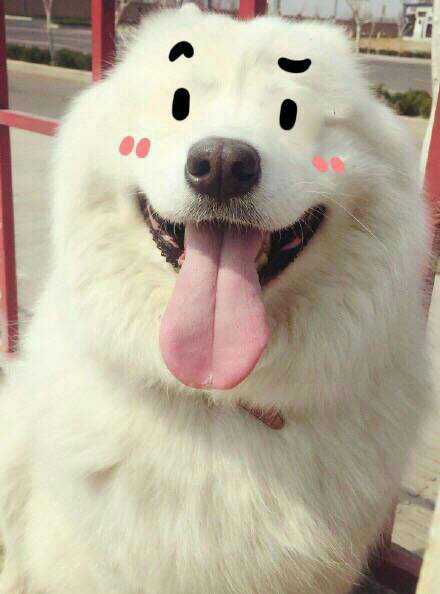 20221115225014_72774 20221115225014_72774