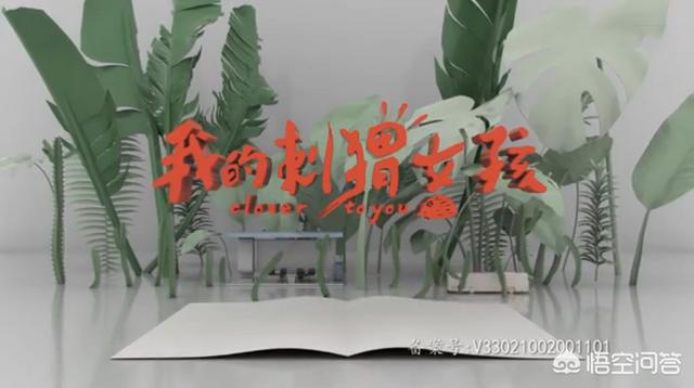 20221115230704_27215