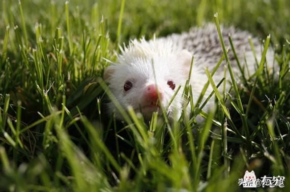 20221115230705_89582 20221115230705_89582