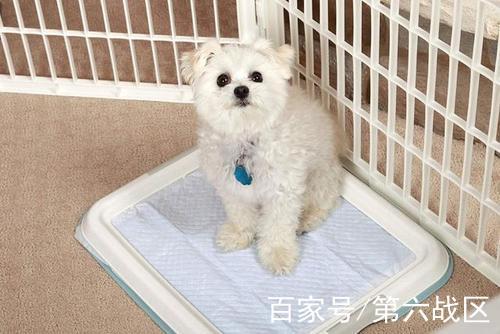 20221115232336_98635 20221115232336_98635