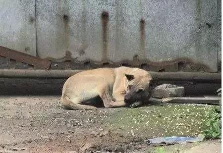 20221116090534_98343