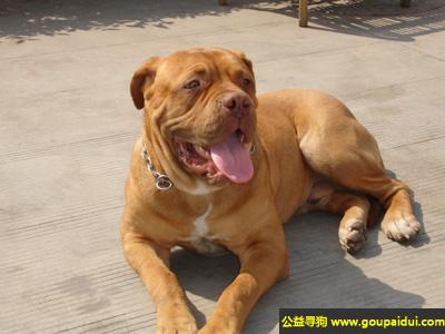 20221116092112_86791 20221116092112_86791