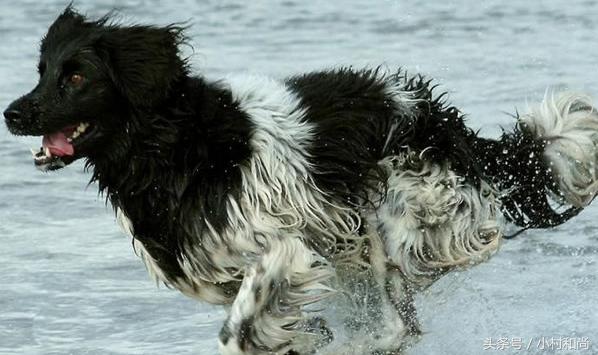 20221116093019_74572 20221116093019_74572