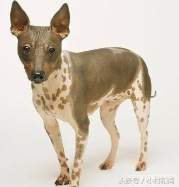 20221116093019_76090 20221116093019_76090