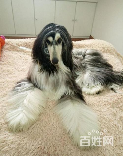 20221116095858_99056 20221116095858_99056