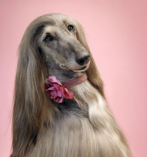 20221116095859_41083 20221116095859_41083