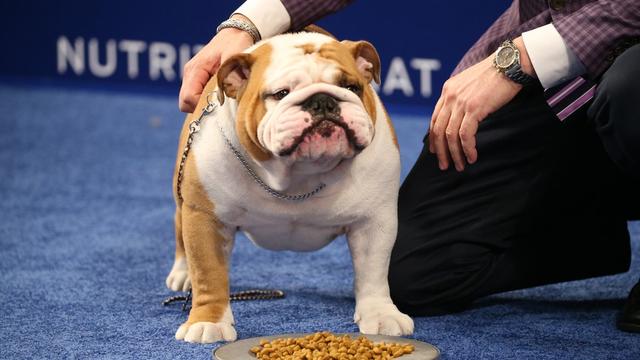 20221116100509_36719