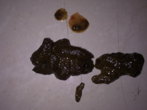 两个月狗狗拉稀怎么回事？两个月狗狗拉稀带点血怎么回事 - 警犬训练器材厂家 _警犬训练用品_工作犬训练用品-南京开久警犬装备-警犬训练器材厂家 _警犬训练用品_工作犬训练用品-南京开久警犬装备