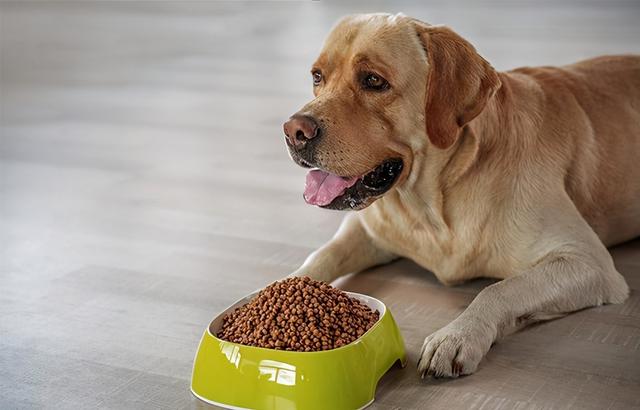 20221116113832_63784