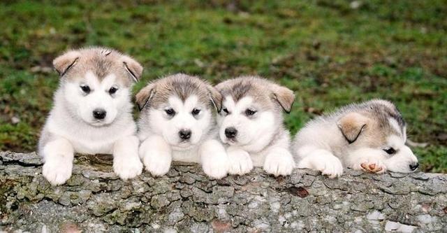 20221116113832_82062